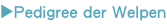shapeimage_1_link_1