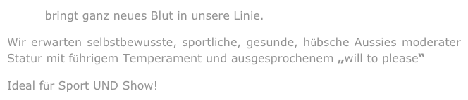 Tiesto bringt ganz neues Blut in unsere Linie.
Wir erwarten selbstbewusste, sportliche, gesunde, hübsche Aussies moderater Statur mit führigem Temperament und ausgesprochenem „will to please“ 
Ideal für Sport UND Show!                                                 ▶Pedigree der Welpen